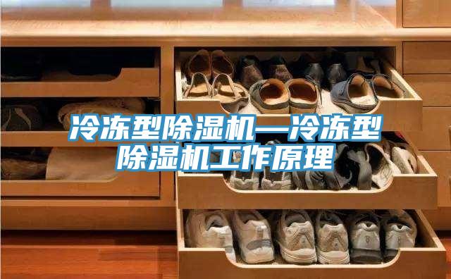 冷凍型香蕉视频国产—冷凍型香蕉视频国产工作原理