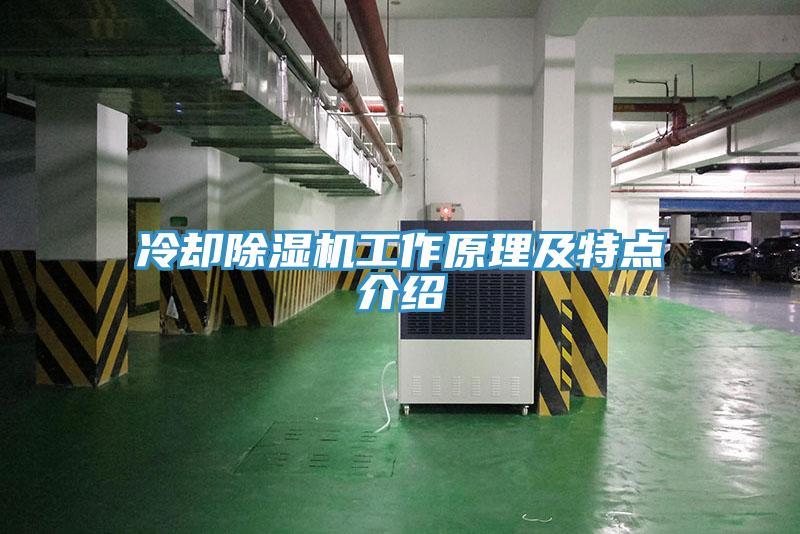 冷卻香蕉视频国产工作原理及特點介紹