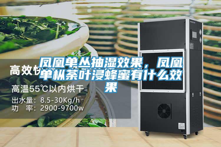鳳凰單叢抽濕效果，鳳凰單樅荼葉浸蜂蜜有什麽效果