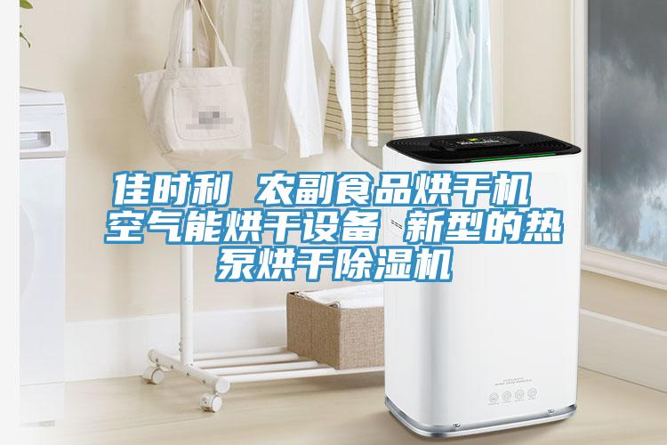 佳時利 農副食品烘幹機 空氣能烘幹設備 新型的熱泵烘幹香蕉视频国产