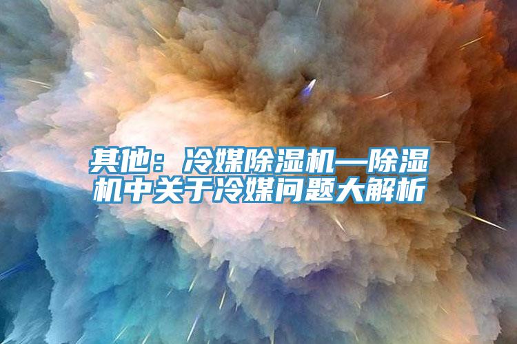 其他：冷媒香蕉视频国产—香蕉视频国产中關於冷媒問題大解析