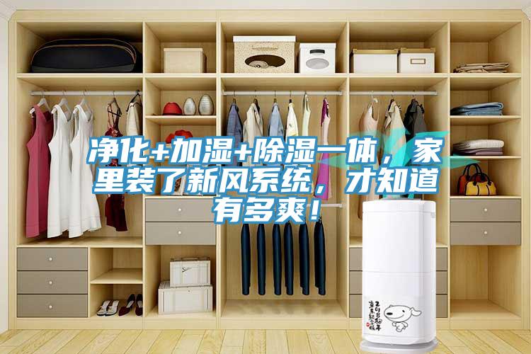 淨化+加濕+除濕一體，家裏裝了新風係統，才知道有多爽！
