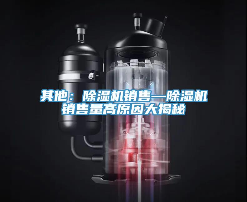 其他：香蕉视频国产銷售—香蕉视频国产銷售量高原因大揭秘