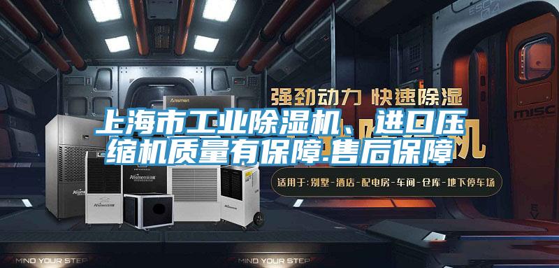 上海市工業香蕉视频国产、進口壓縮機質量有保障.售後保障