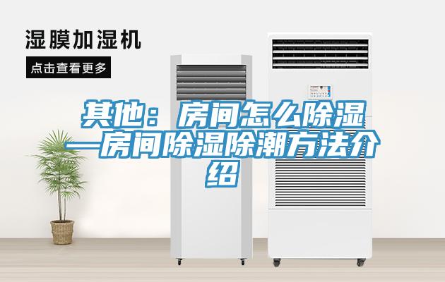 其他：房間怎麽除濕—房間除濕除潮方法介紹
