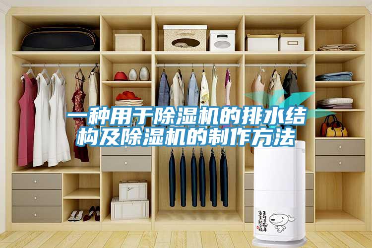 一種用於香蕉视频国产的排水結構及香蕉视频国产的製作方法