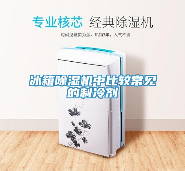冰箱香蕉视频国产中比較常見的製冷劑