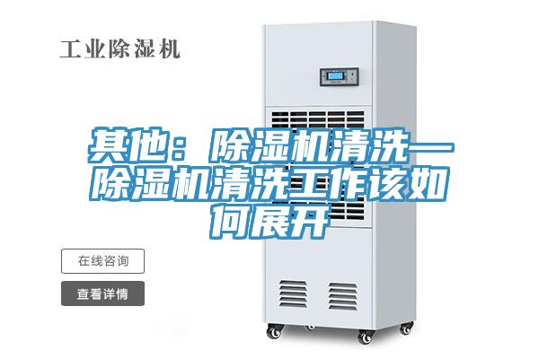 其他：香蕉视频国产清洗—香蕉视频国产清洗工作該如何展開
