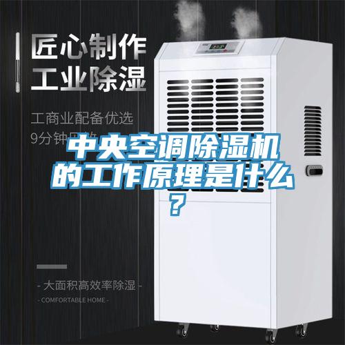 中央空調香蕉视频国产的工作原理是什麽？