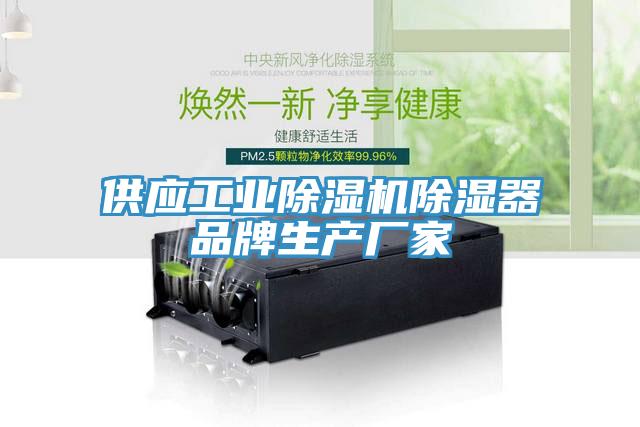 供應工業香蕉视频国产除濕器品牌生產廠家