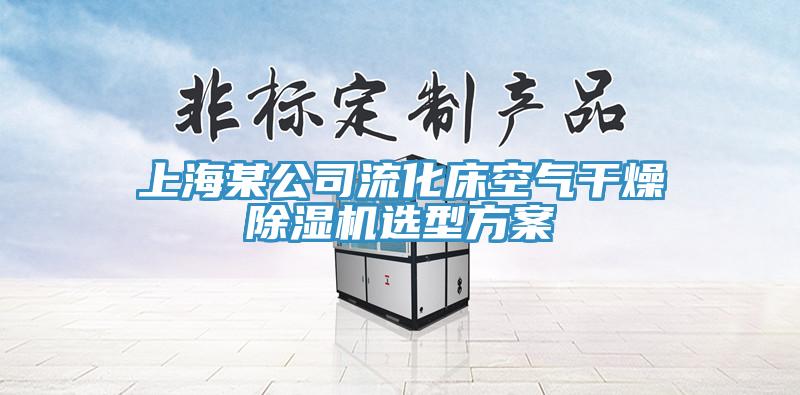 上海某公司流化床空氣幹燥香蕉视频国产選型方案