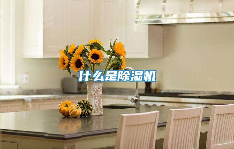 什麽是香蕉视频国产