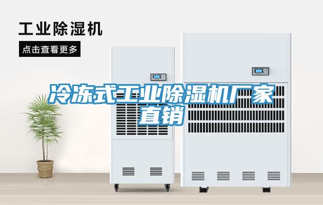 冷凍式工業香蕉视频国产廠家直銷