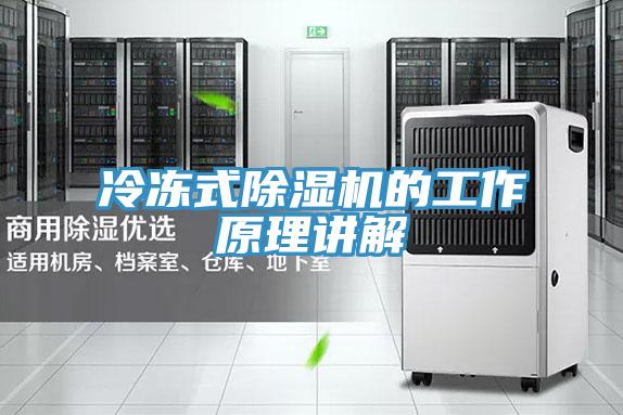 冷凍式香蕉视频国产的工作原理講解