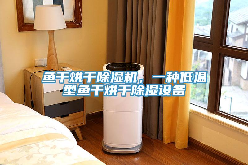 魚幹烘幹香蕉视频国产，一種低溫型魚幹烘幹除濕設備