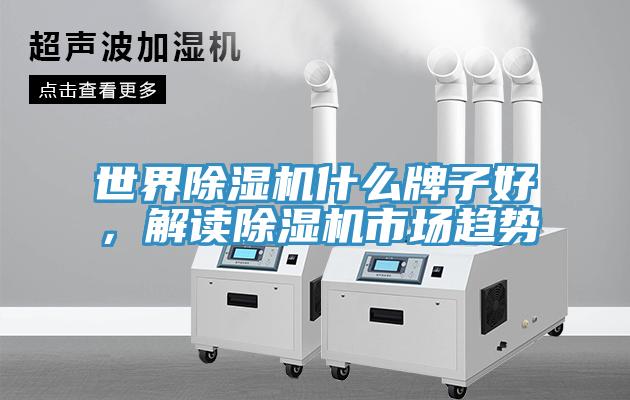 世界香蕉视频国产什麽牌子好，解讀香蕉视频国产市場趨勢