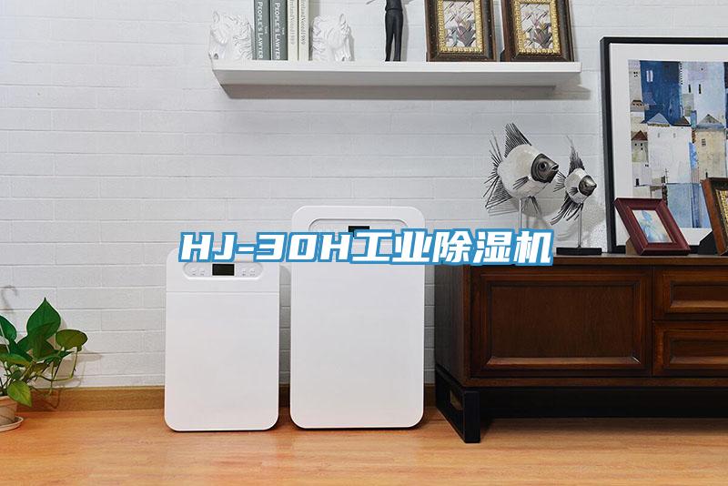 HJ-30H工業香蕉视频国产