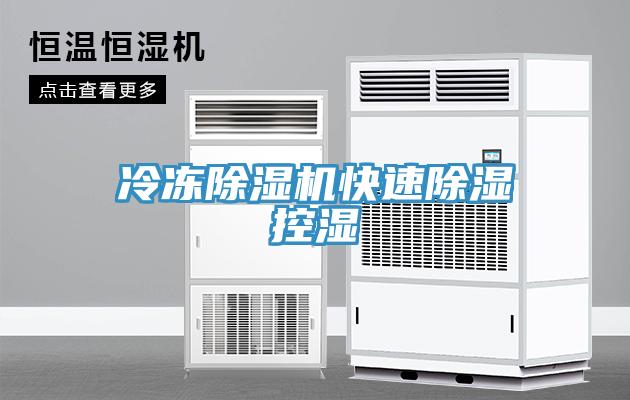 冷凍香蕉视频国产快速除濕控濕