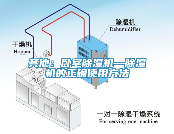 其他：臥室香蕉视频国产—香蕉视频国产的正確使用方法