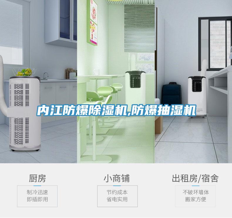 內江防爆香蕉视频国产,防爆抽濕機