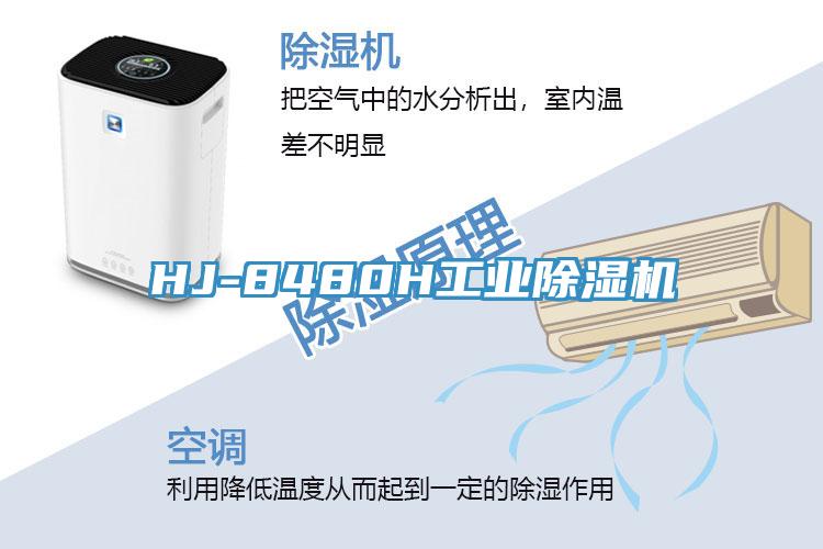 HJ-8480H工業香蕉视频国产