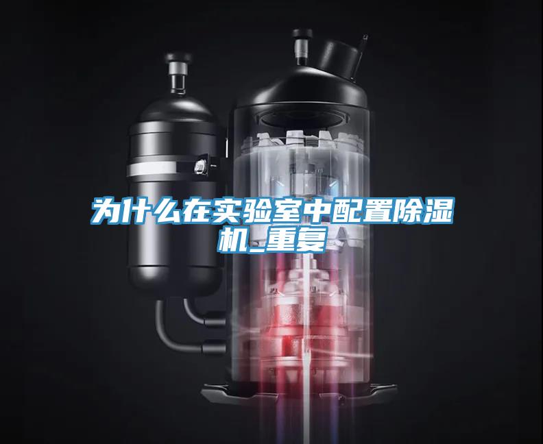 為什麽在實驗室中配置香蕉视频国产_重複