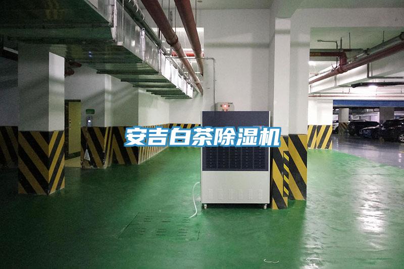 安吉白茶香蕉视频国产