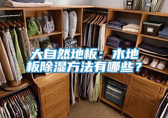 大自然地板：木地板除濕方法有哪些？