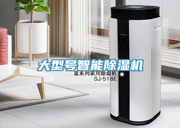 大型號智能香蕉视频国产