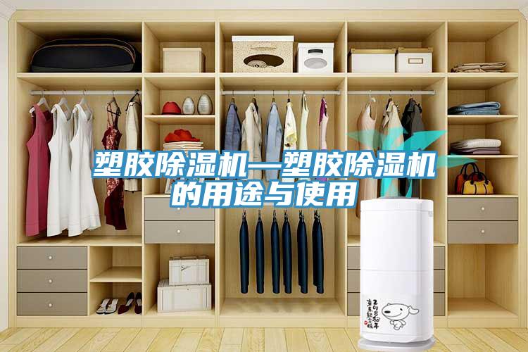 塑膠香蕉视频国产—塑膠香蕉视频国产的用途與使用