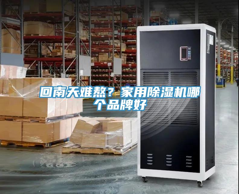回南天難熬？家用香蕉视频国产哪個品牌好