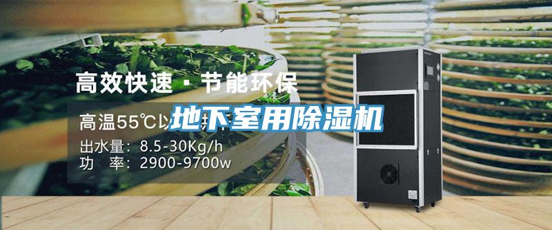 地下室用香蕉视频国产