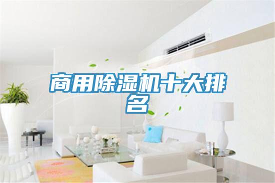 商用香蕉视频国产十大排名