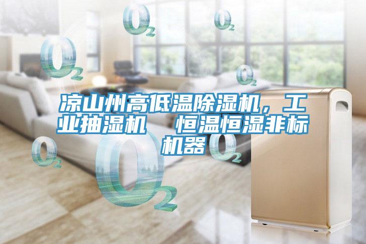 涼山州高低溫香蕉视频国产，工業抽濕機  恒溫恒濕非標機器