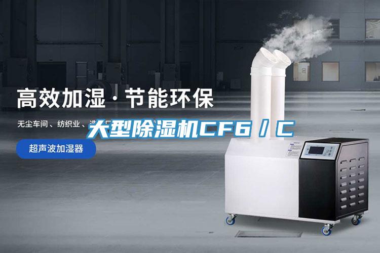 大型香蕉视频国产CF6／C