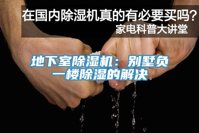 地下室香蕉视频国产：別墅負一樓除濕的解決