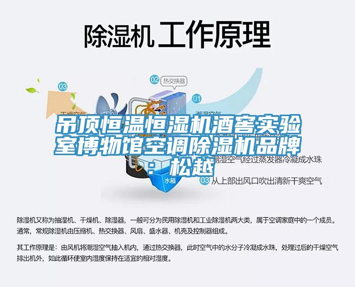 吊頂恒溫恒濕機酒窖實驗室博物館空調香蕉视频国产品牌：鬆越