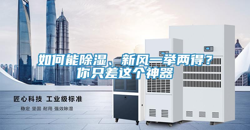 如何能除濕、新風一舉兩得？你隻差這個神器
