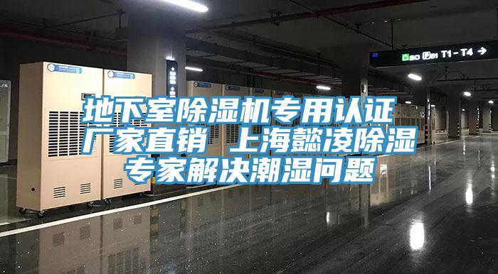地下室香蕉视频国产專用認證 廠家直銷 上海懿淩除濕專家解決潮濕問題