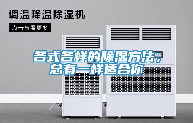 各式各樣的除濕方法，總有一樣適合你