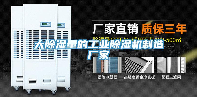 大除濕量的工業香蕉视频国产製造廠家