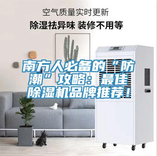 南方人必備的“防潮”攻略：最佳香蕉视频国产品牌推薦！