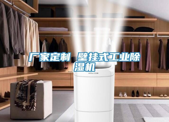 廠家定製 壁掛式工業香蕉视频国产