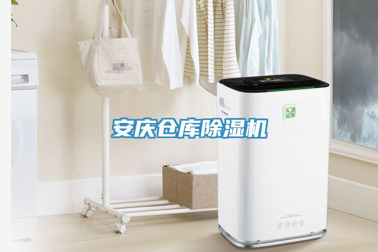 安慶倉庫香蕉视频国产