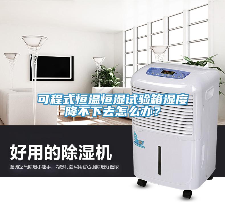 可程式恒溫恒濕試驗箱濕度降不下去怎麽辦？