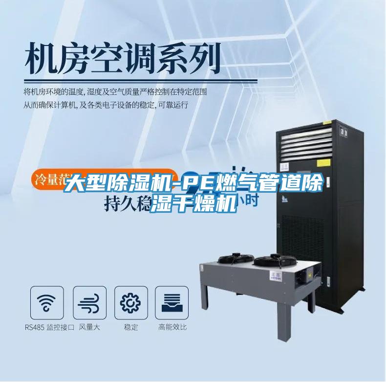 大型香蕉视频国产-PE燃氣管道除濕幹燥機