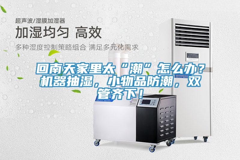 回南天家裏太“潮”怎麽辦？機器抽濕，小物品防潮，雙管齊下！