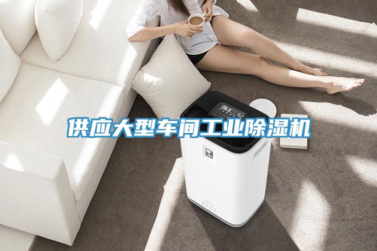供應大型車間工業香蕉视频国产