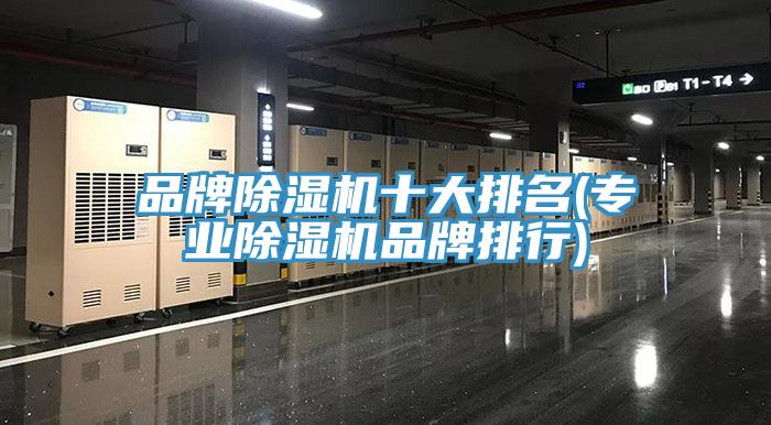 品牌香蕉视频国产十大排名(專業香蕉视频国产品牌排行)