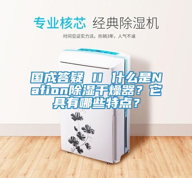 國成答疑 II 什麽是Nafion除濕幹燥器？它具有哪些特點？
